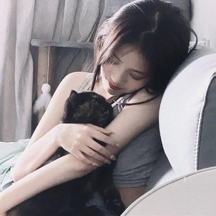 白痴5和哭喊的夫人